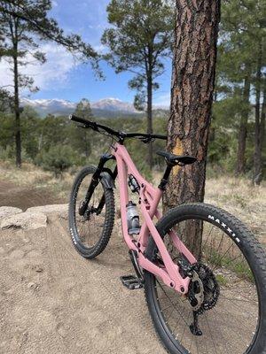 Pinnacle Trails Bike Shop