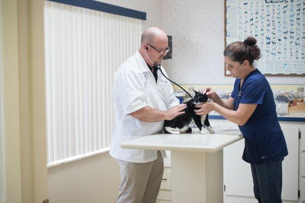 Dr. Wilkinson graduated from Auburn University's Veterinary School.