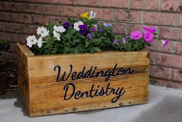 Weddington Dentistry