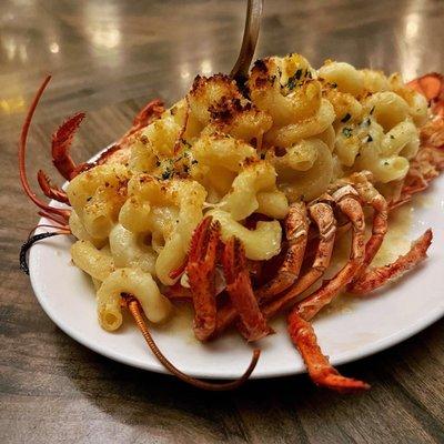 Whole Maine Lobster Mac 'N Cheese