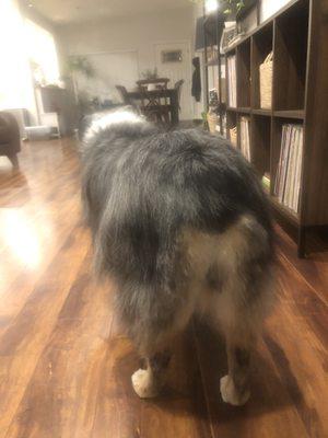 Look at that cute butt! Sanitary trim makes potty trips mess free