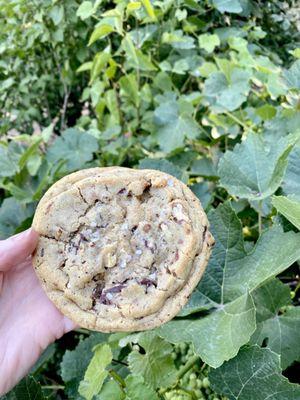 Salted Chocolate toffee cookie