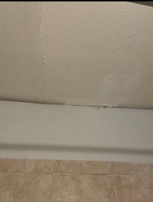 Black mold with cracked ceiling