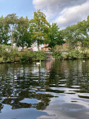 Charles River Canoe & Kayak