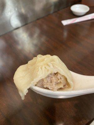 A16 10 Pieces Shanghai Juice Dumpling