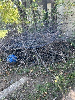 Yard waste