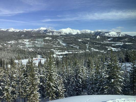 View from kitchen table