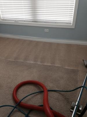 Aaron & Rim did a great job on my carpets. Look at the difference!