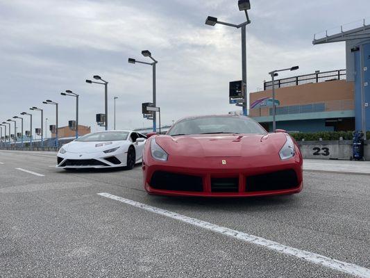 Ferrari and Lamborghini