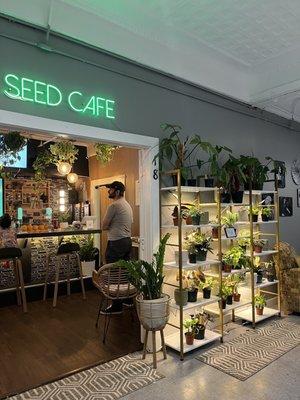 Seed Cafe