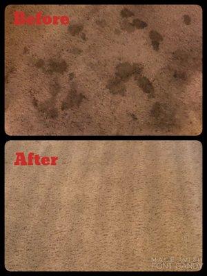 Our technicians are experienced and have new, state of the art truck mounted equipment using steam and heat to make your carpet sanitary.