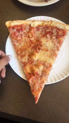 The pizza slices are huge!