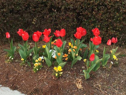 Flowers from my travels!!!