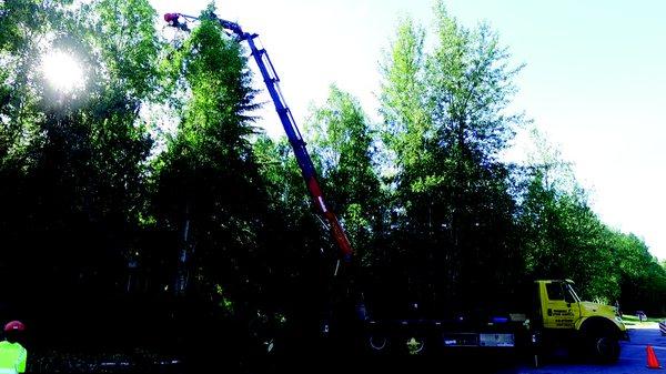 The Claw reaching up over the canopy to safe ly remove a large spruce from a dangerous location.