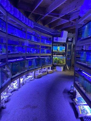 Fish tanks