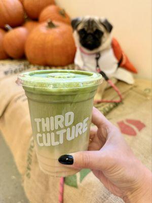 Caramel Pumpkin Matcha Latte (Soy Milk)