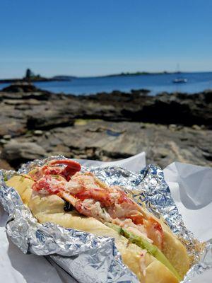 Instagram-worthy lobster roll shot