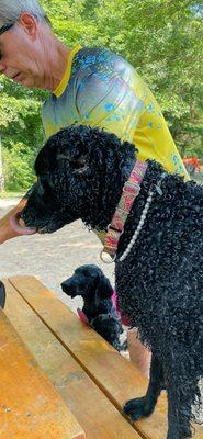 Paisley just finished swimming in the pond (with her pearls on) and puppy Mayhem watching.