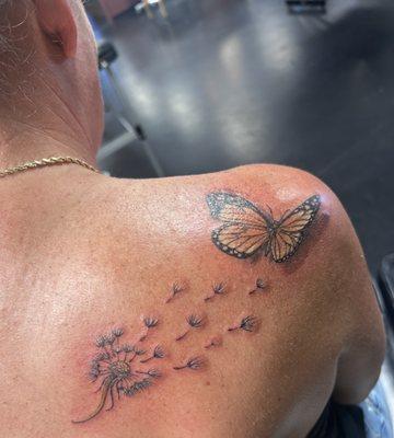 Dandelion with a monarch butterfly.