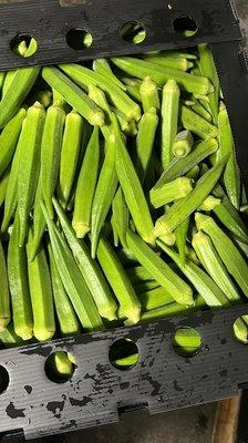 Okra