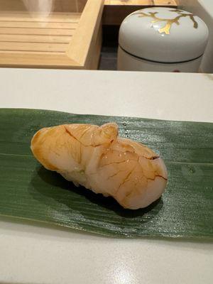 Super Fresh Flown in Scallop from Japan Still Alive