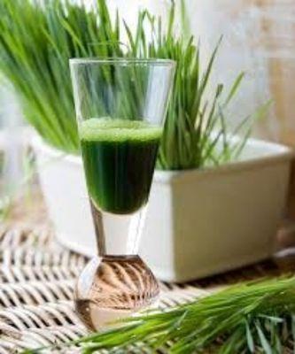 Flash frozen wheatgrass available post your float or 6 packs to go