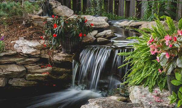 Backyard pond installation