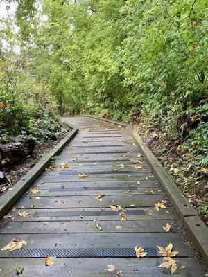 Trail to the slough