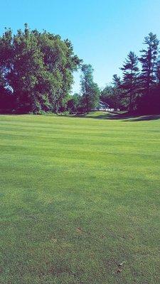 Hole 2 fairway looking back toward the clubhouse.