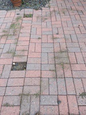 This is after lawn love "completed" the work - there are burn marks on my brick from using a weed whacker rather than hand pulling weeds.