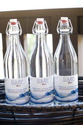 alkaline living water