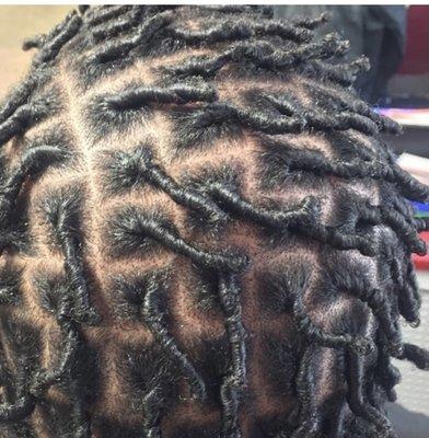 Starter dreads