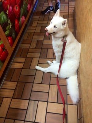 She loves watching them make sandwiches!