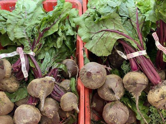 Got some beautiful beets this morning to can