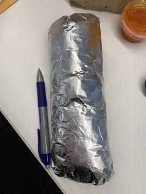 Burrito- pen for scale