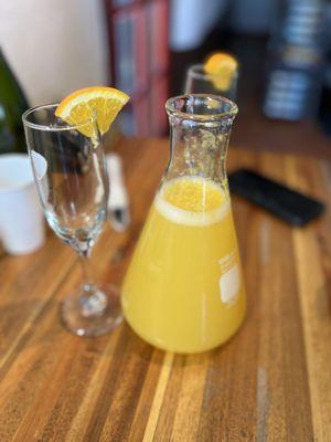 Mimosa pitcher