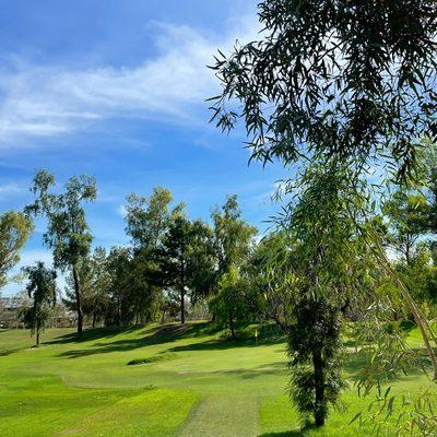 View from 2nd tee -- looking at first green