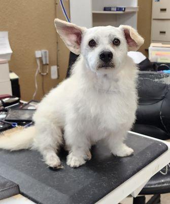 Toby came in for a clean-up