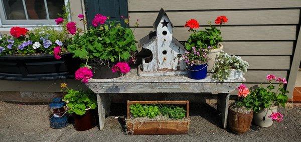 Vintage Primitive Bench Dressed with Primitive Birdhouse & Beautiful Plants in Vintage & Antique Crocks, Barrels & Tool Box