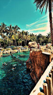 Discovery Cove