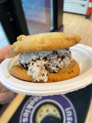 Chocolate Chip Ice Cream Sandwich