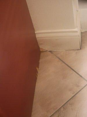 Water damage outside the shower