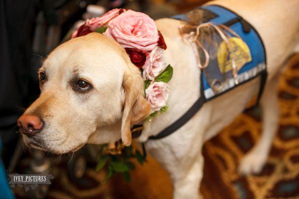 The cutest ring bearer.