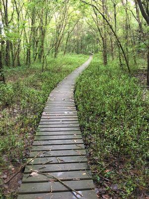 Walkway along the outer loop trail