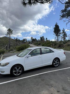 Pacific Crest Trail At Penny Pines