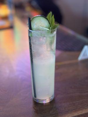 Cucumber Mint Spritz (made with gin instead of tequila)