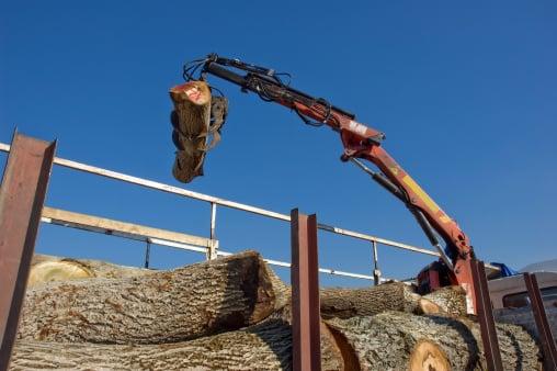 Atlanta Wood Tech Tree Services Inc