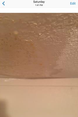 Can you see the water dripping down? Cynthia refuses to send a professional roofer out. The handyman is her hubby