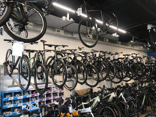 a great selection of bikes for the whole family!