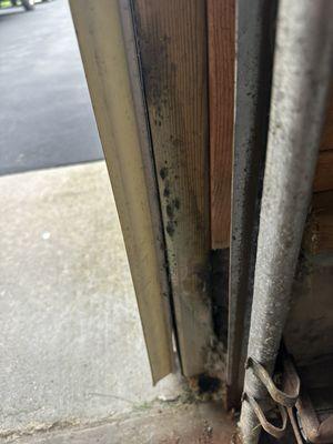 Rusted tracks, mold growth